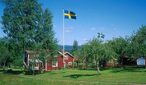 Svenska flaggor på långa flaggstänger